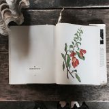 Flower picture book