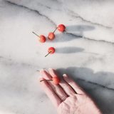 Harvest of cherries