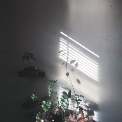 Ma chambre et plante
